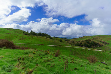 Beautiful Waitomo scenic landscape , New Zealand