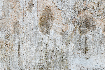 white concrete wall texture