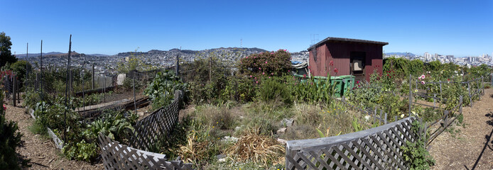Panorama of San Francisco community garden. Portero Hill.