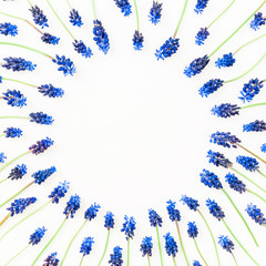 Frame of blue muscari, floral pattern on white background. Flat lay, top view. Round frame of flowers. Flowers frame wreath