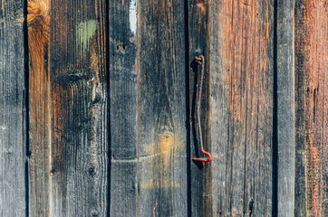 Wood texture. Background of old panels