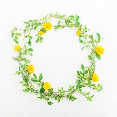 Floral frame branches with leaves and yellow flowers on white background. Flat lay, top view. Floral background.
