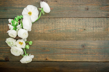 Floral frame of white ranunculus on wood background. Flat lay, top view. Floral pattern