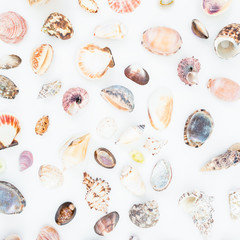 Natural pattern of tropical sea shells on white background. Flat lay. Top view. Ocean background