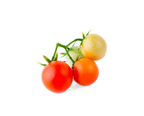 tomato over white background