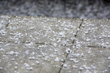 Snow pellets on the ground. Also known as graupel, precipitation that forms when supercooled...