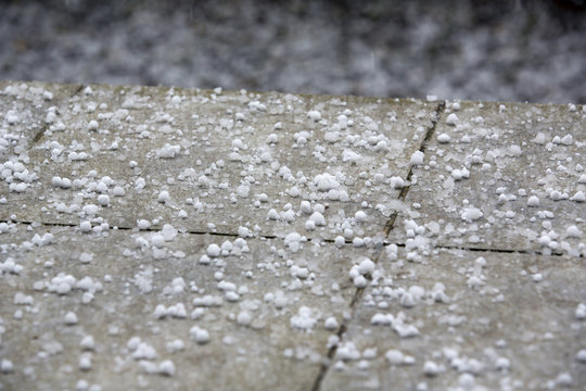 Snow pellets on the ground. Also known as graupel, precipitation that forms when supercooled droplets of water are collected and freeze on falling snowflakes, forming 2&ndash;5 mm balls of rime