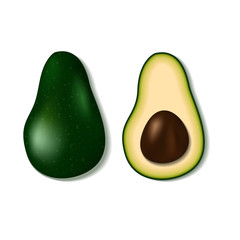 Realistic 3d vector green avocado isolated.