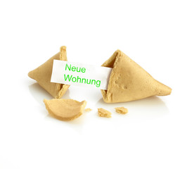 Glückskeks neue Wohmung