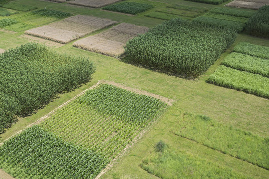 High angle view of agricultural field, Stuttgart, Baden-Wuerttemberg, Germany