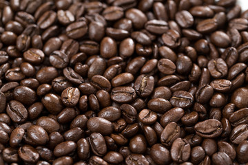 Coffee bean background