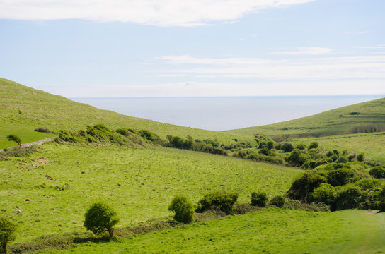 View Of Sea Over Dorset Downs