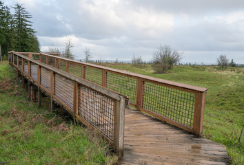 Fototapeta premium Wheelchair Ramp