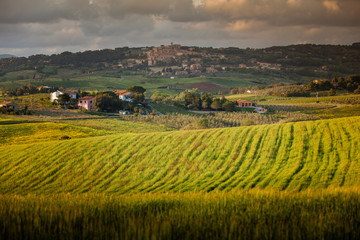 Casale Marittimo, Pisa, Tuscany - Italy