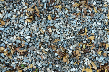 Pebble stone background with fallen leaves.