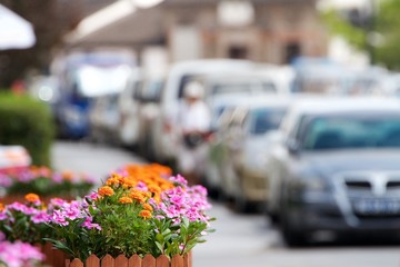 Flowers in city