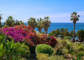 Fototapeta na wymiar Playa Jardin, Puerto de la Cruz, Teneriffa, Spanien