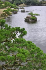 Obraz na płótnie Canvas 水前寺公園