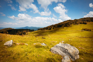 Randonnée et trekking en montagne sur des paturages