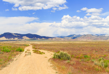 Path into the Desert