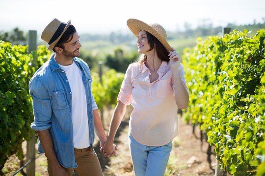 Couple holding hands at vineyard