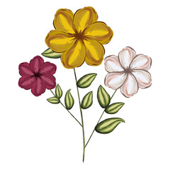 watercolor silhouette of malva plant with flowers red yellow and white vector illustration