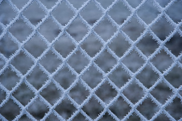 Frozen net
