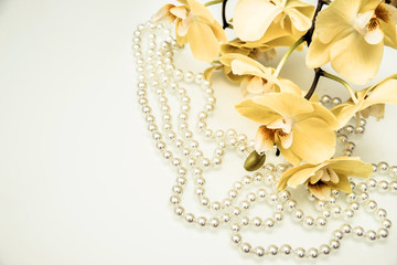 pearl and yellow Orchid on white glass 