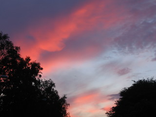 Fototapeta premium No 76