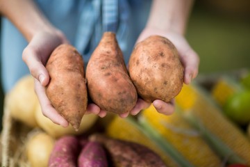 Cropped image of woman holding sweet potatoes - Powered by Adobe