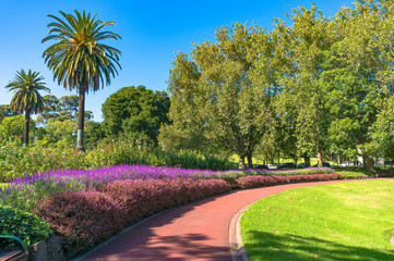 Curved path with hedge and green lawn
