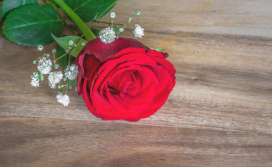 rote Rosen zu Muttertag