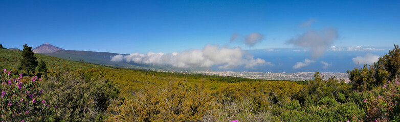 Vulkan Teide, Teneriffa, Kanaren,Spanien