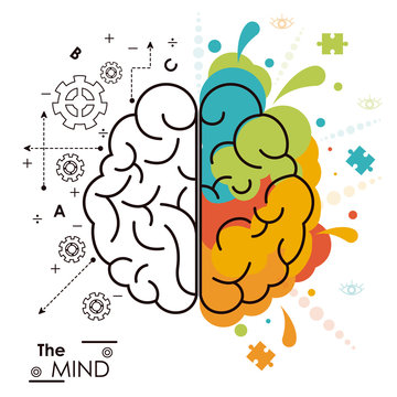 The Mind Brain Human Functions Left Right Design Vector Illustration