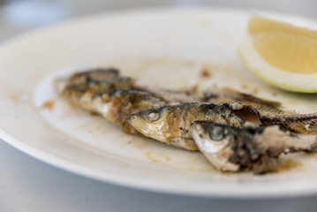 Grilled sardines in a plate . Selective focus on the eyes. The Sardines have been eaten, leaving the heads and the bones