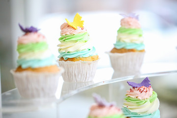 Close up detail of sweets on a candy bar