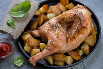 Close-up of baked half chicken served with roasted potato wedges, studio shot