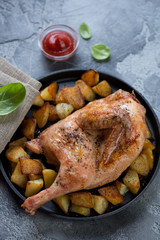 Oven baked half chicken with roasted potato wedges, selective focus, studio shot
