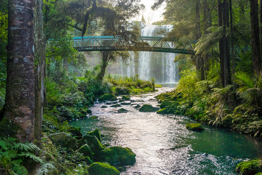 Fototapeta Magical Whangarei Falls, New Zealand