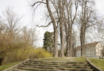 Fototapeta na wymiar Garden path among trees in Graz, Austria