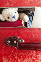 In the Suitcase / Detail of opened red vintage suitcase with travel things inside: book, nostalgic...