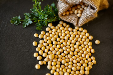 Whole grains soybean on dark background.