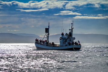Whale watching boat in Husavik, Iceland © anderm