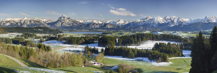 Fototapeta na wymiar Panorama Landschaft mit Blumenwiesen im Frühling im Allgäu bei Füssen