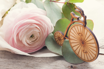 Pink ranunculus, wooden bike