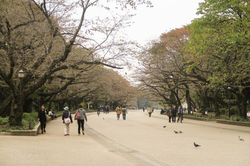 Ueno Park