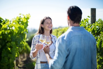 Obraz premium Cheerful couple toasting wineglasses