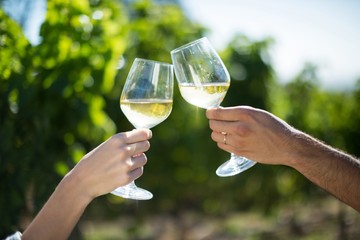 Couple toasting wineglasses at vineyard on sunny day