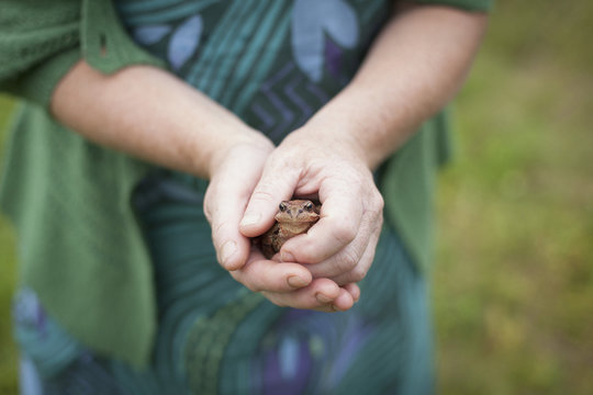 Midsection of man holding frog at park