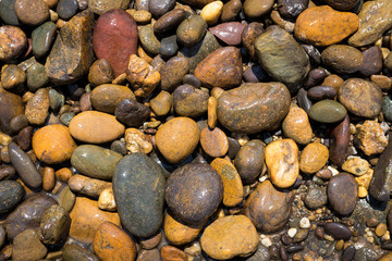 Closeup river rock background, outdoor day light